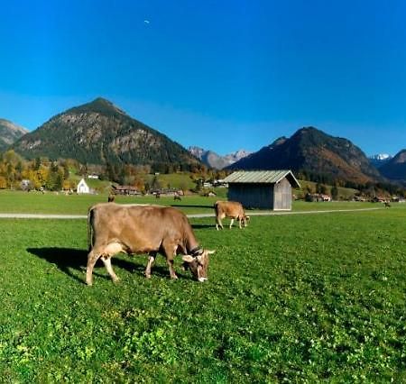 Bergpanorama Leilighet Oberstdorf Eksteriør bilde